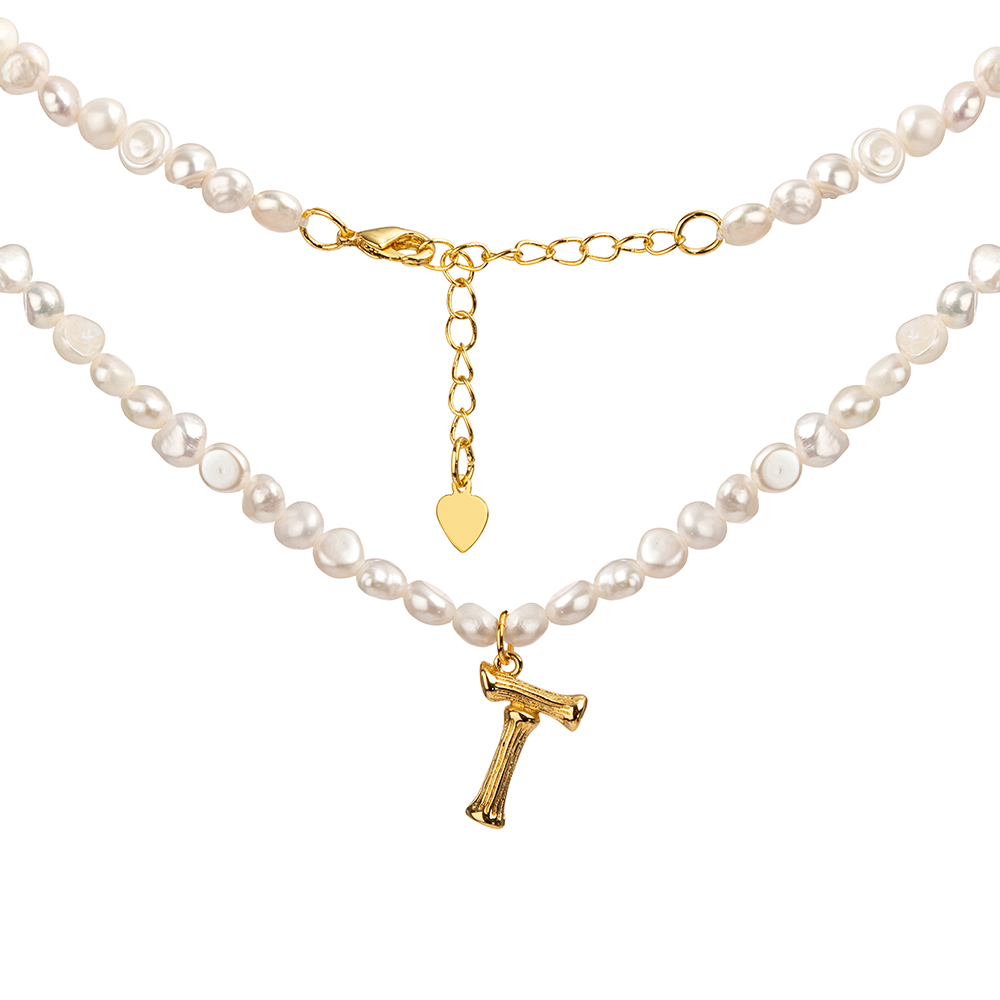 Колье (Сталь) SN-BW06N-T-Y